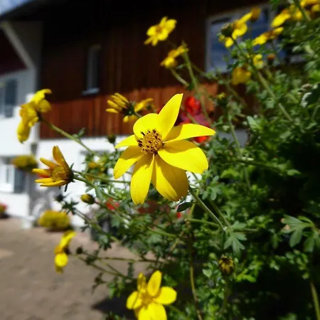Rupp Sibratshofen